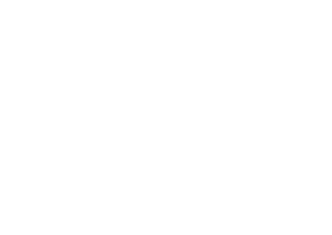 Logo blanco Solid Matter